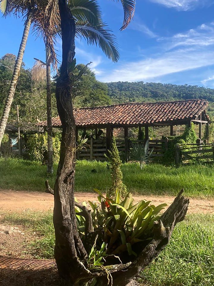 Paisagem da Fazenda Cachoeira, que dá nome à cachaça